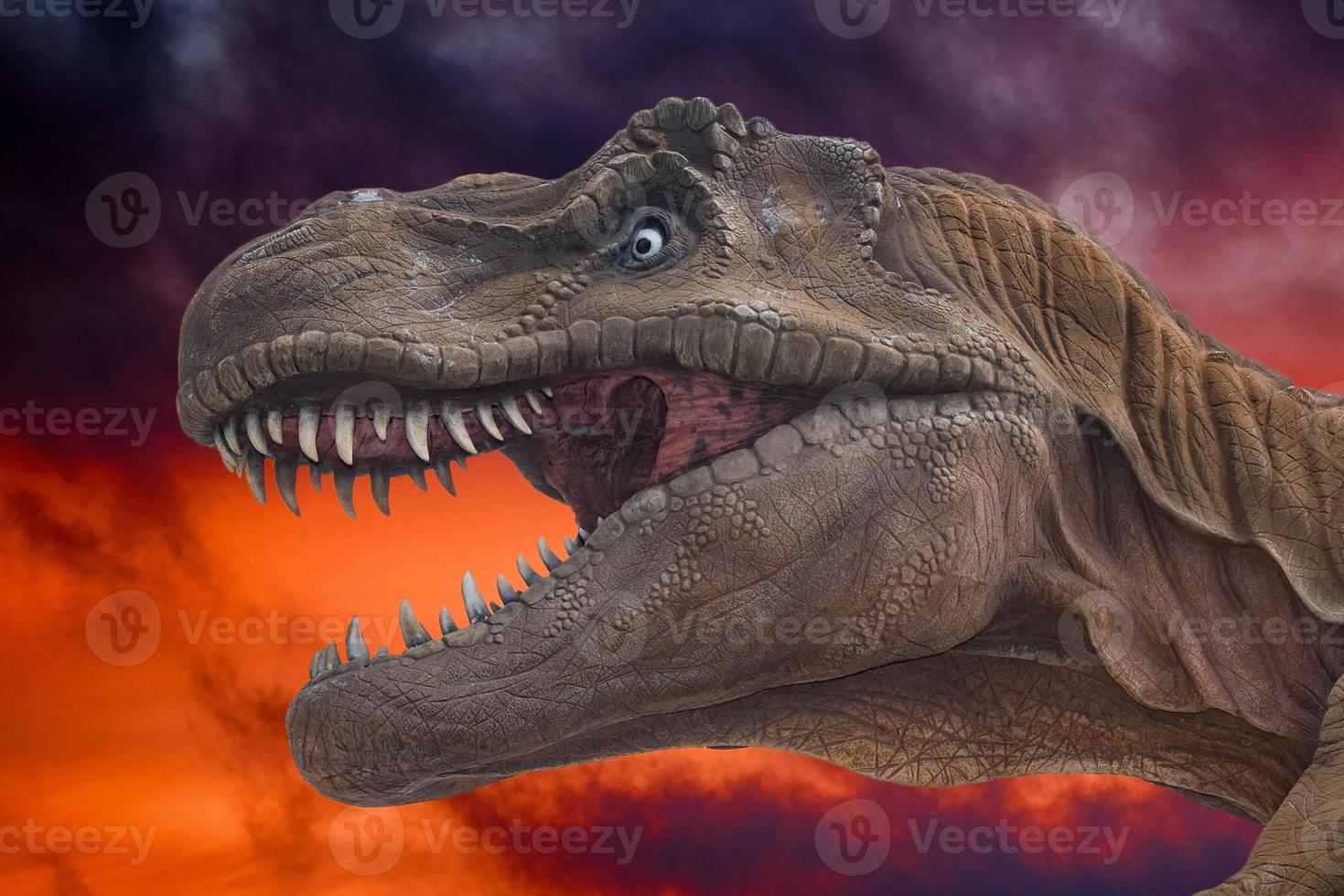 dinosaur trex close up on inferno background photo