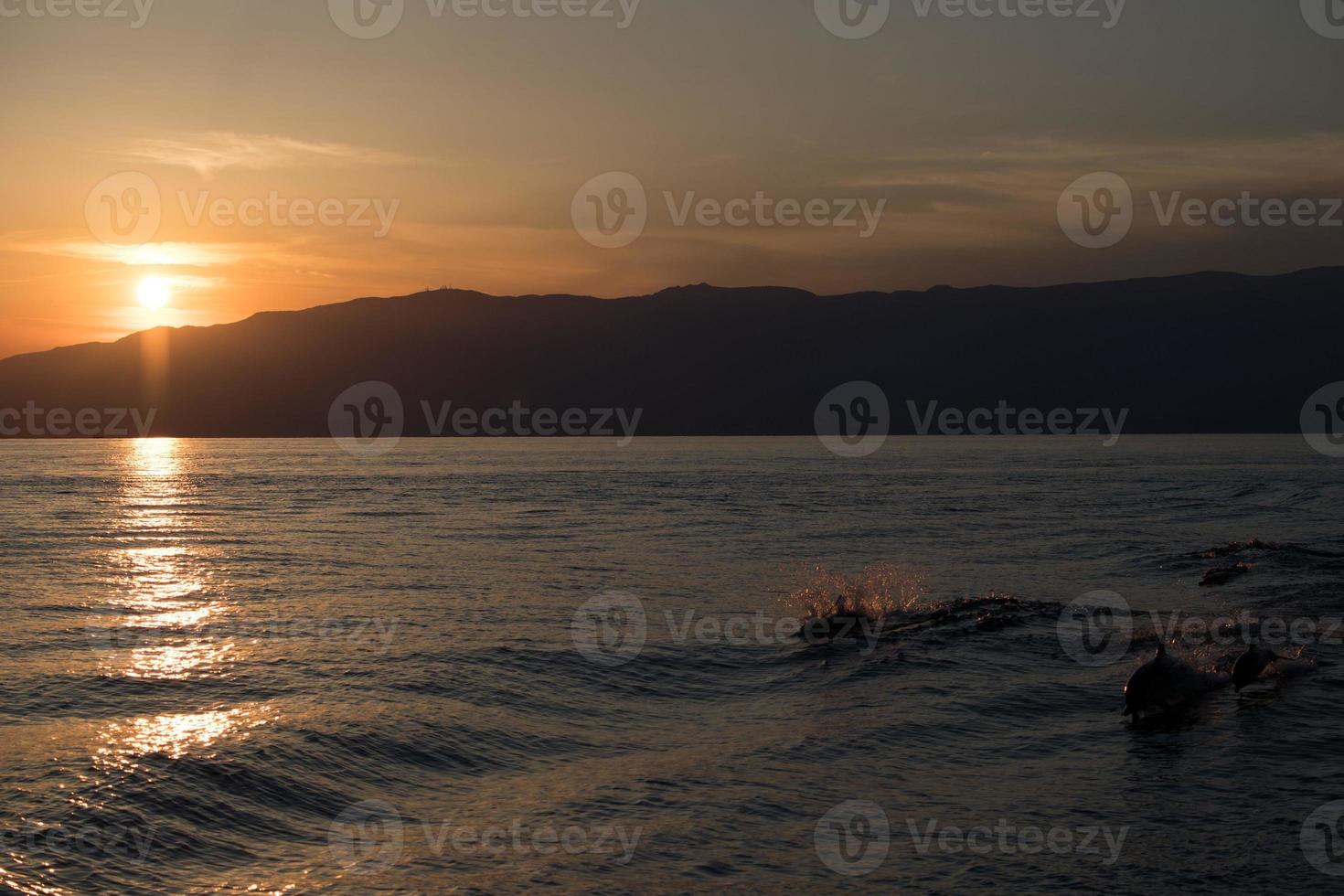 Dolphin silhouette while jumping in the sea at sunset photo