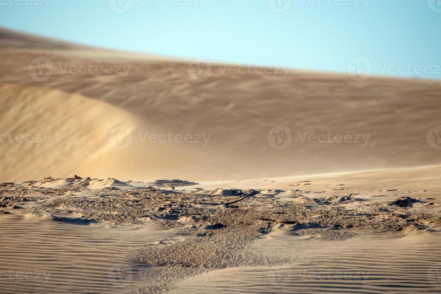 beach sand dunes landscape view photo
