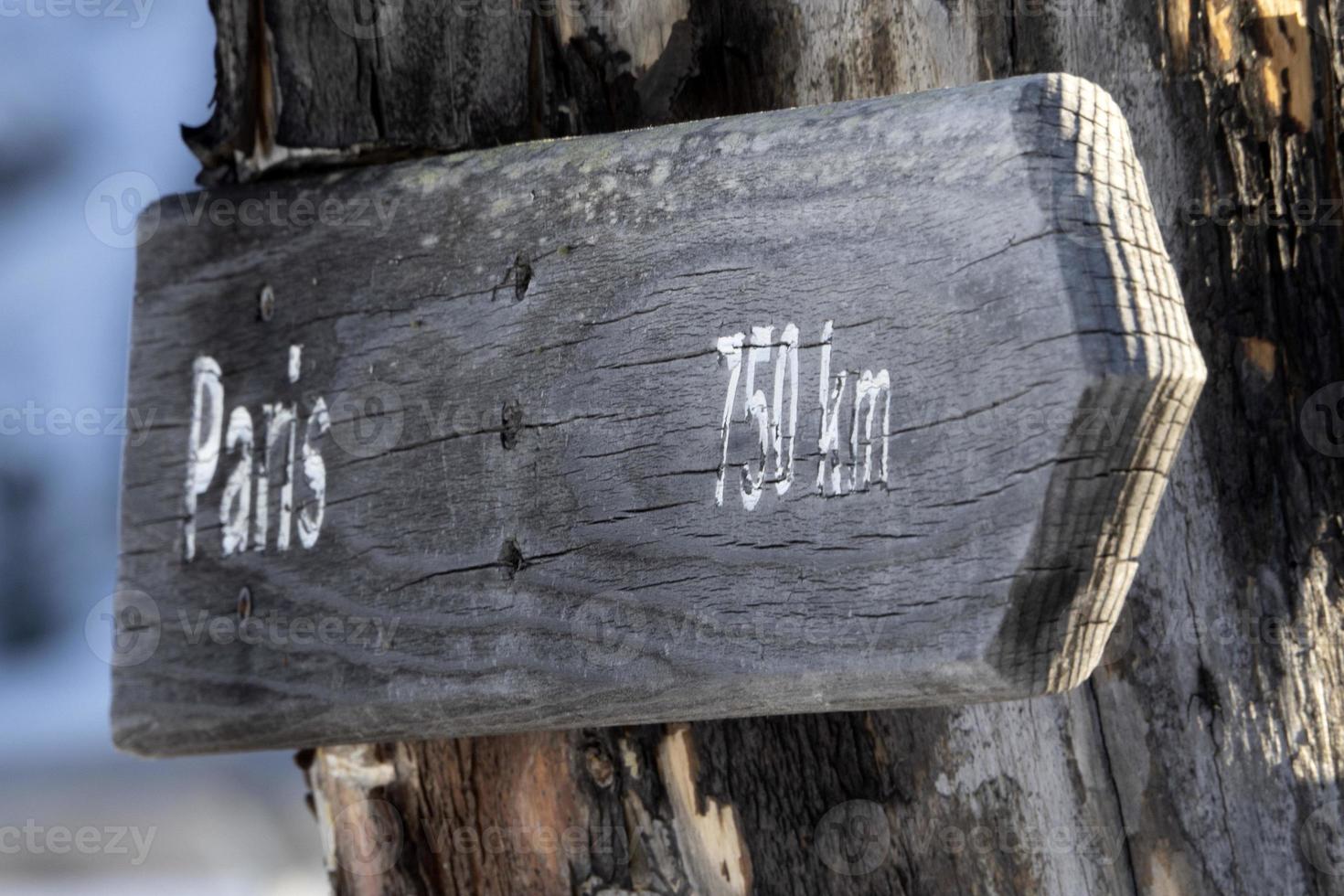 Paris distance wood sign on dead tree photo