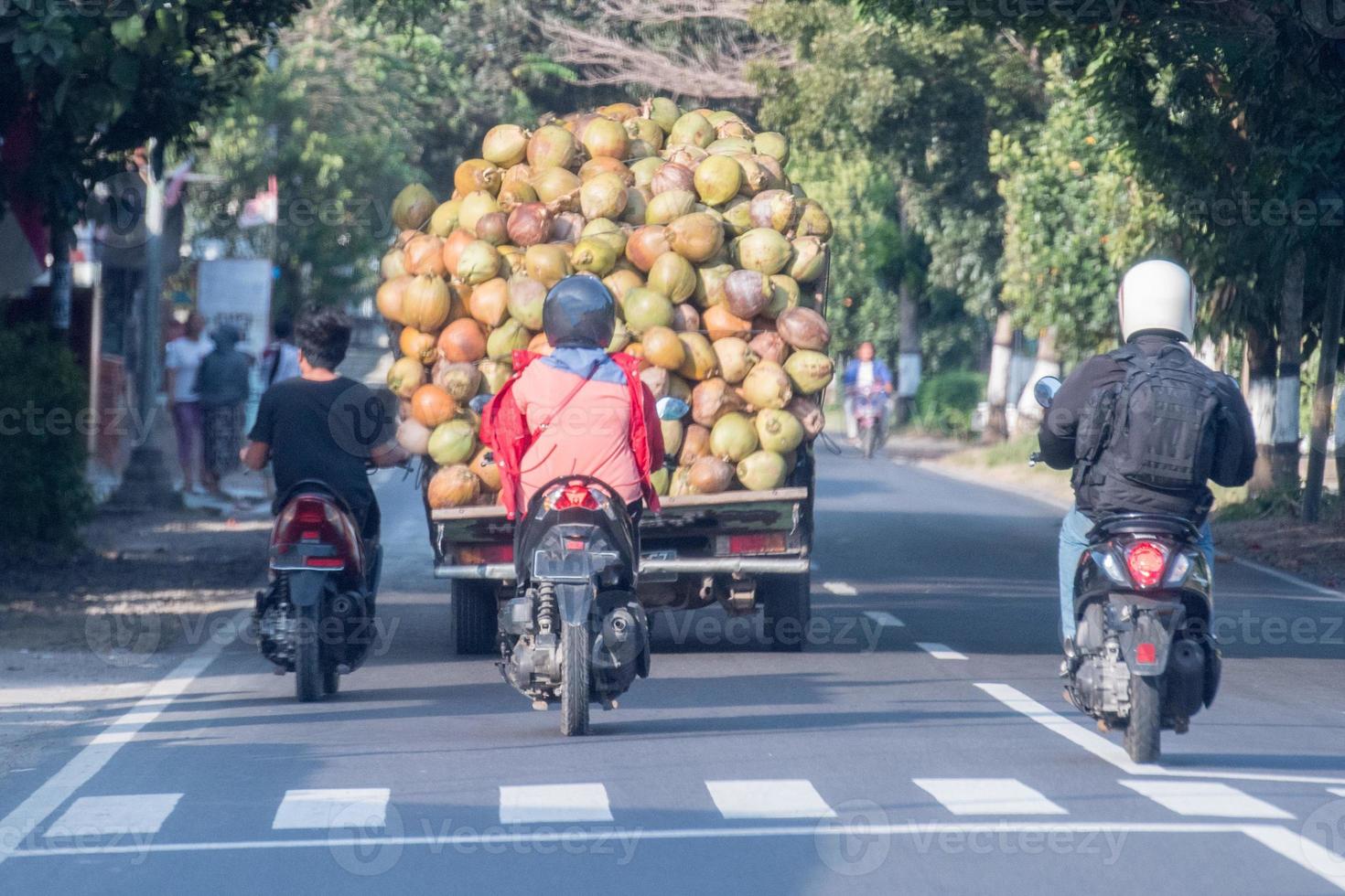 truck overloaded with coconut close up detail in Bali photo