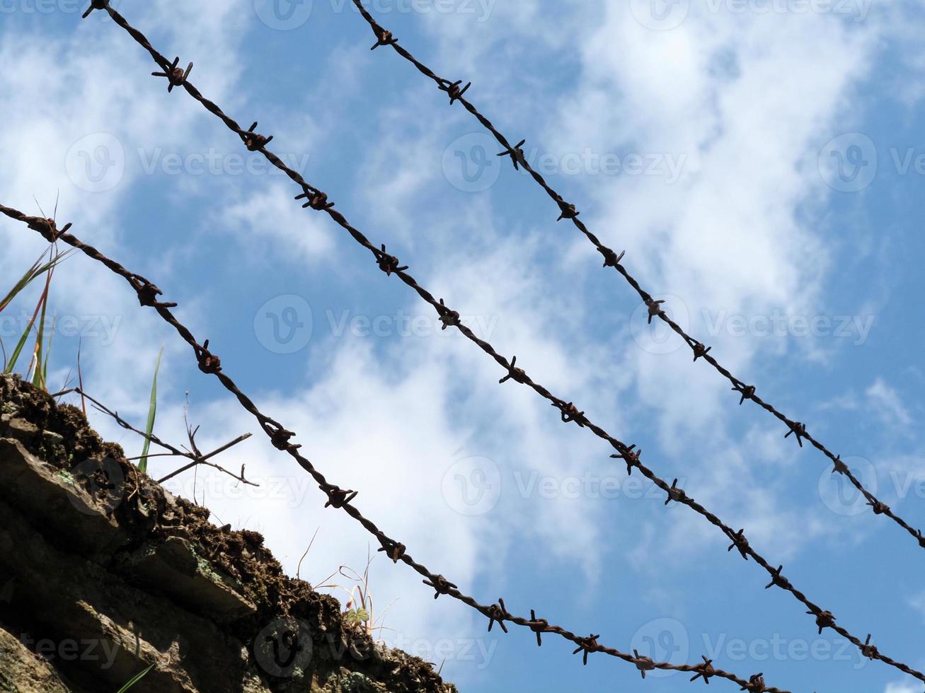 barbed wire on cloudy sky photo