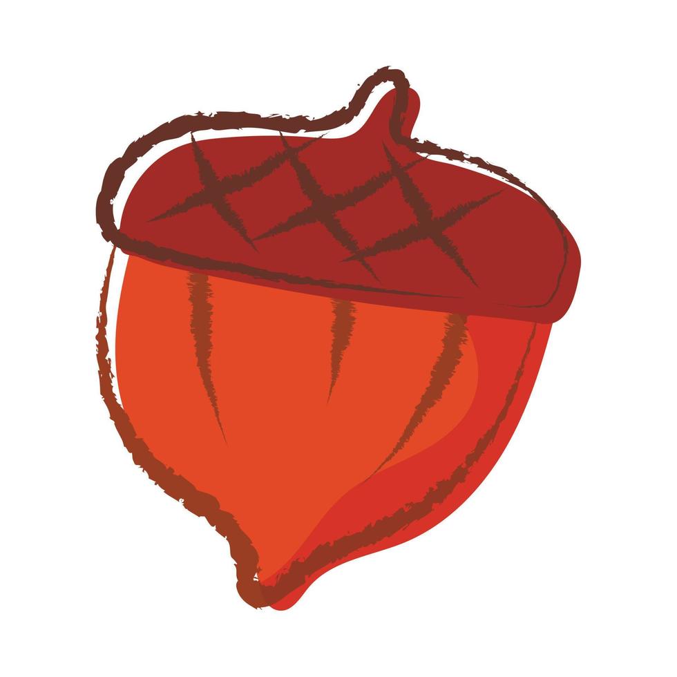 Vector isolated doodle illustration of forest acorn.