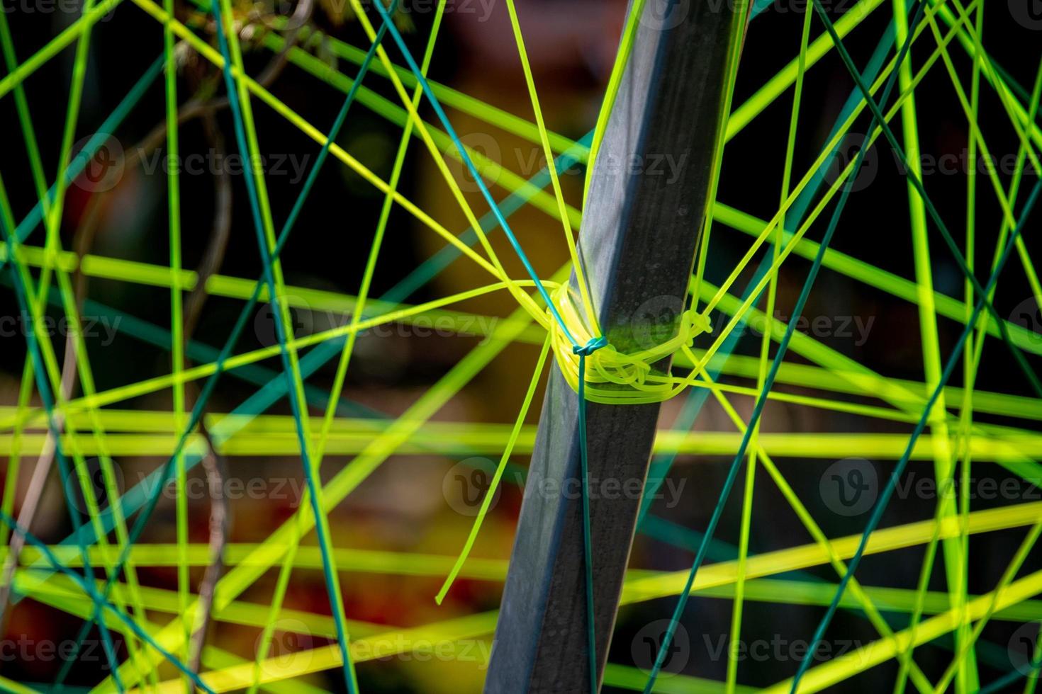 Neon plastic wires yellow and green photo