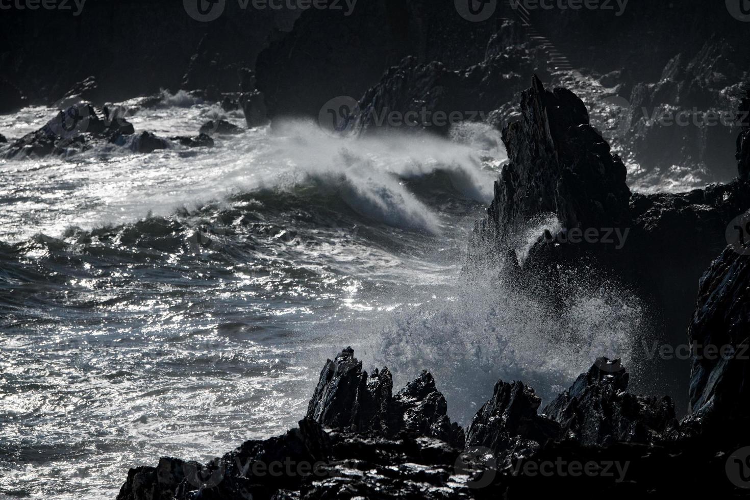 tsunami tropical hurricane on the sea photo