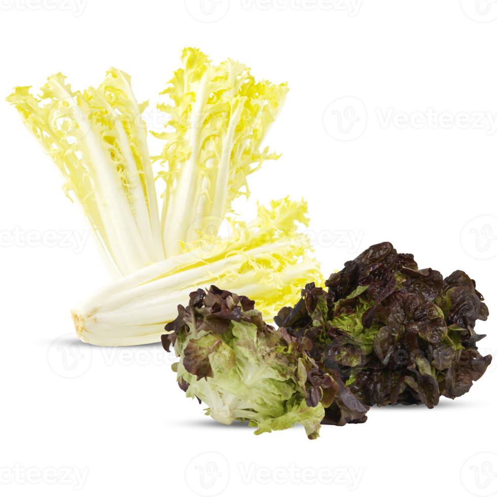 lettuce cut out transparent background png