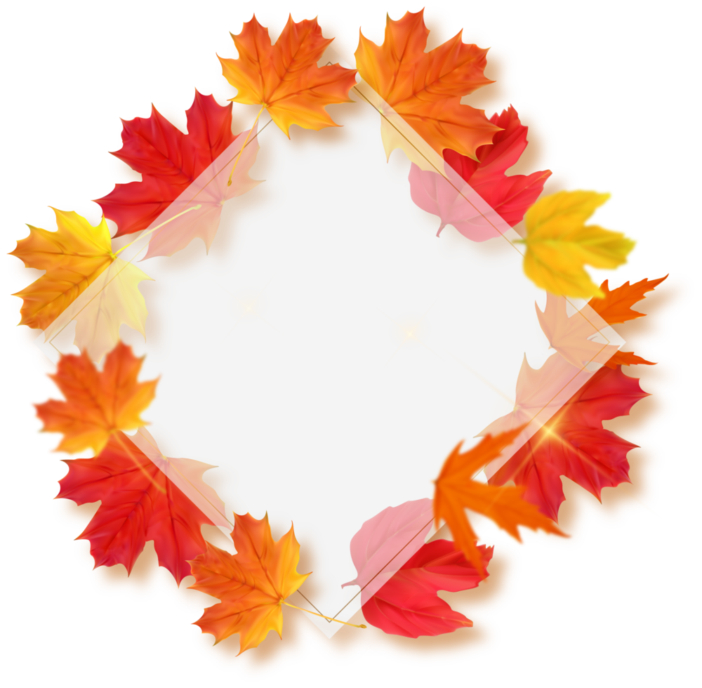 White Frame with Falling Leaves png