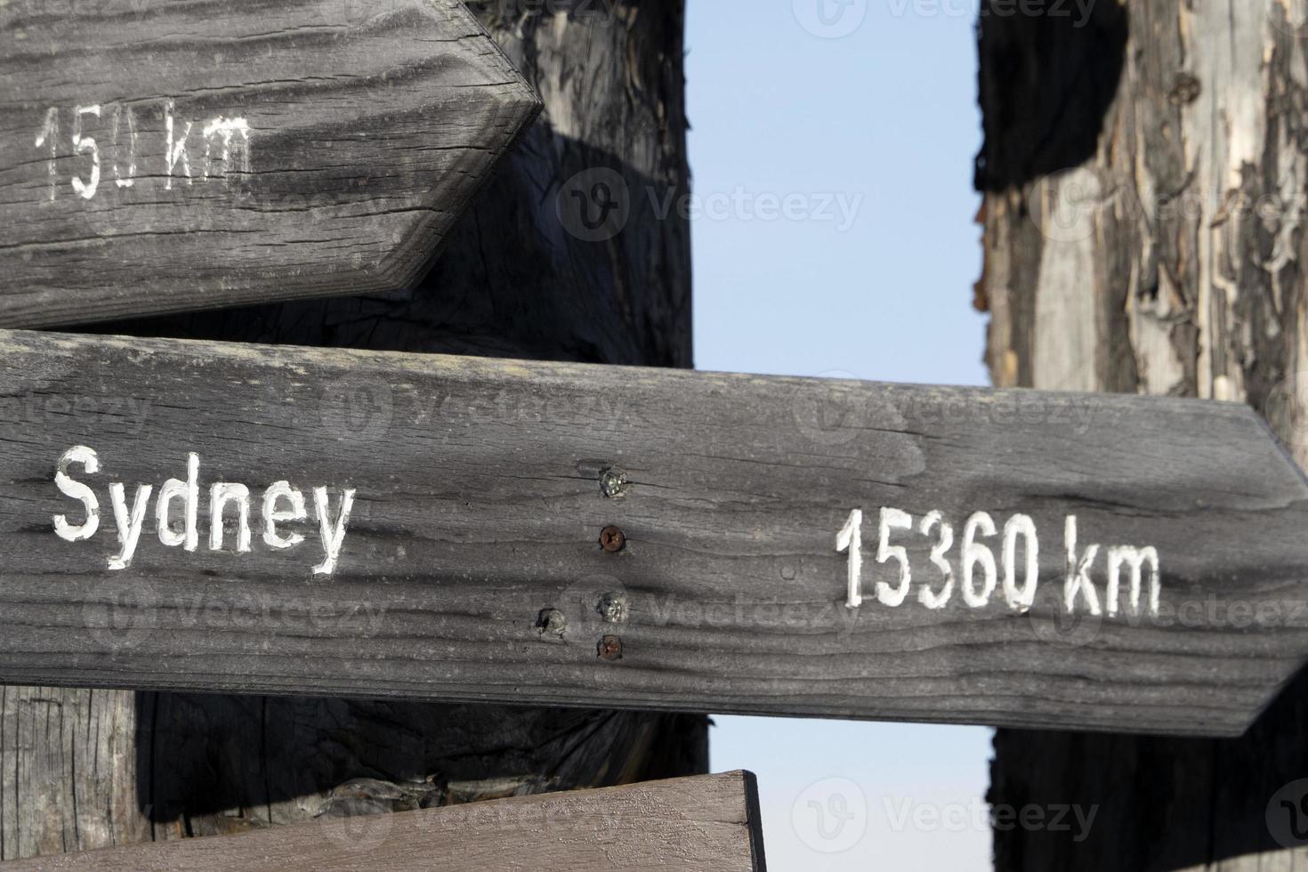 Sidney distance wood sign on dead tree photo