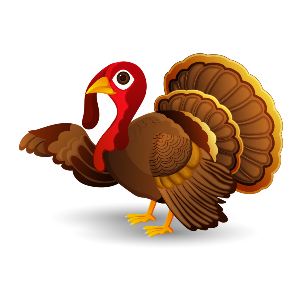 Turkey bird for thanksgiving day png