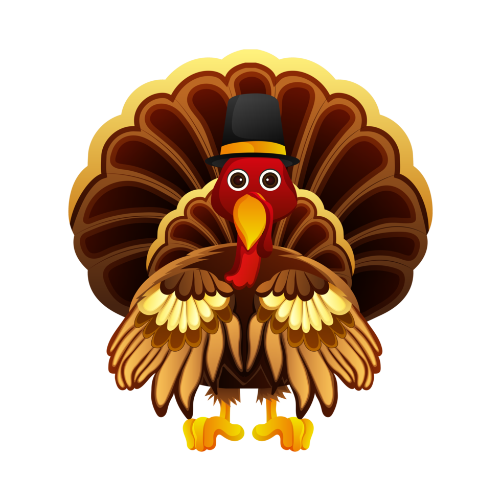 Turkey bird character png