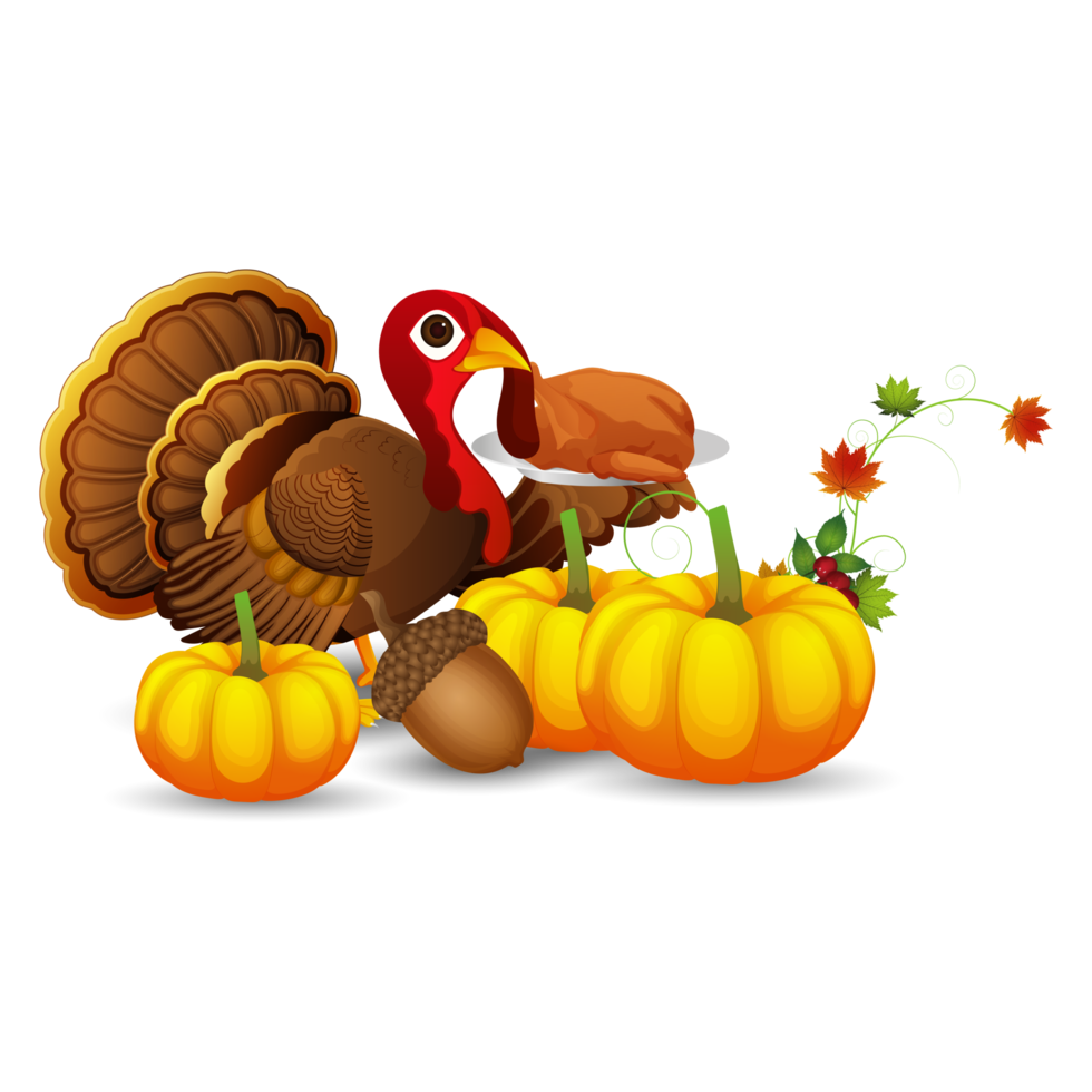 Turkey bird character and pumpkin png