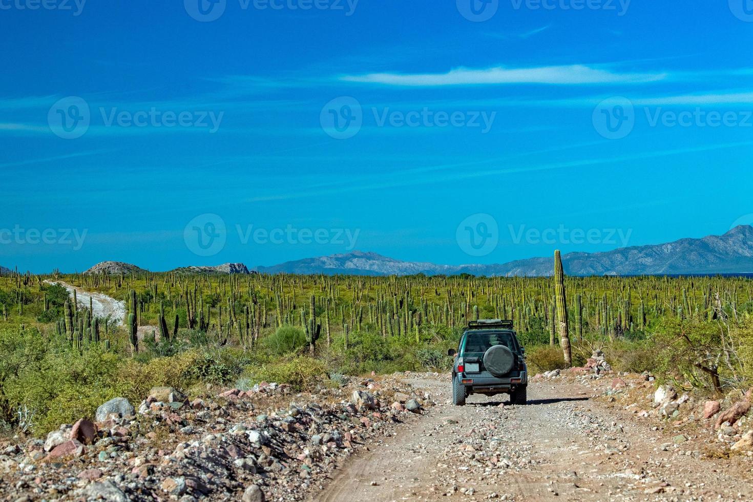 4x4 offroad en baja california paisaje panorama desierto carretera foto