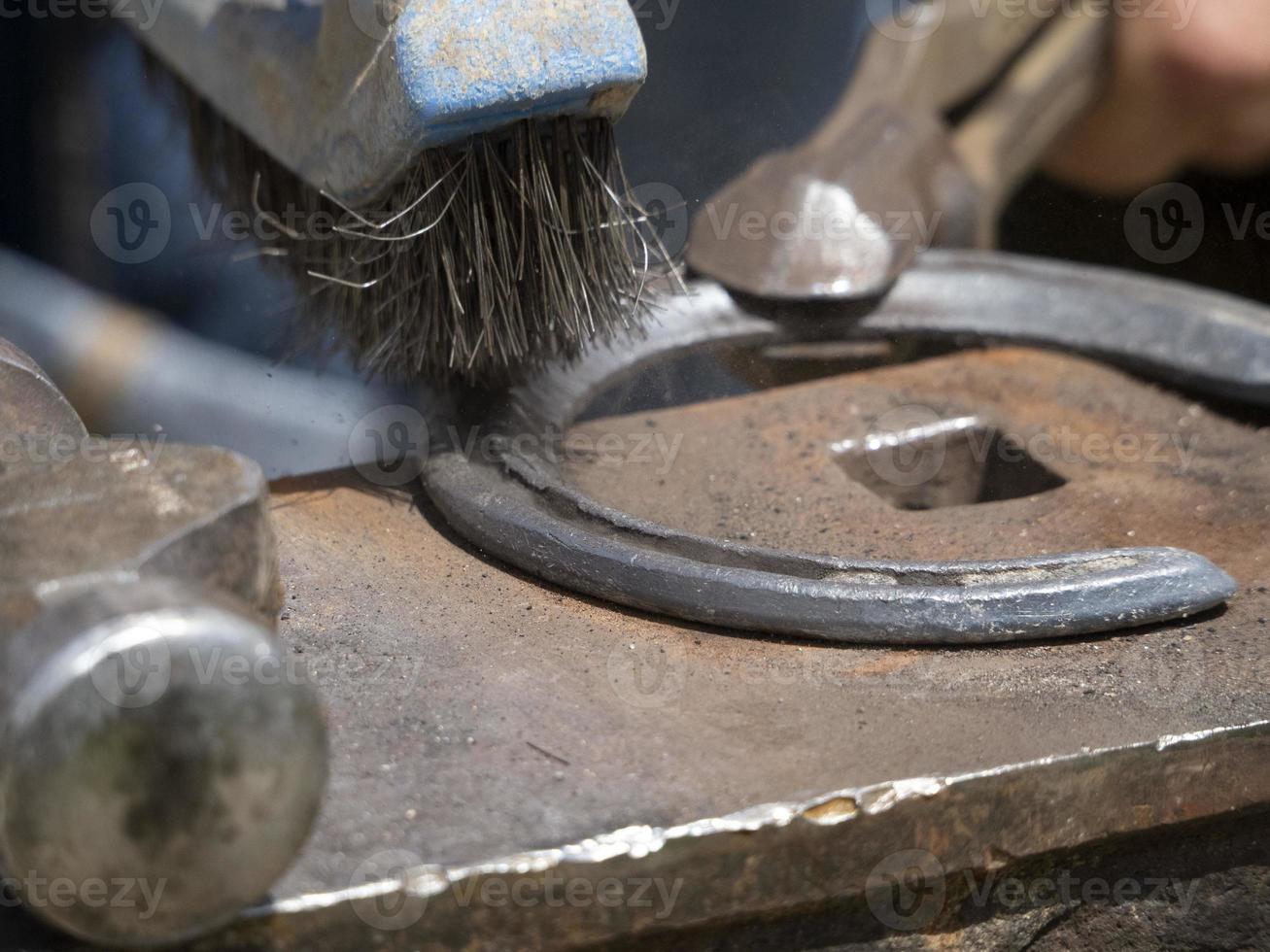 Blacksmith shoeing a donkey and cleaning hoof photo