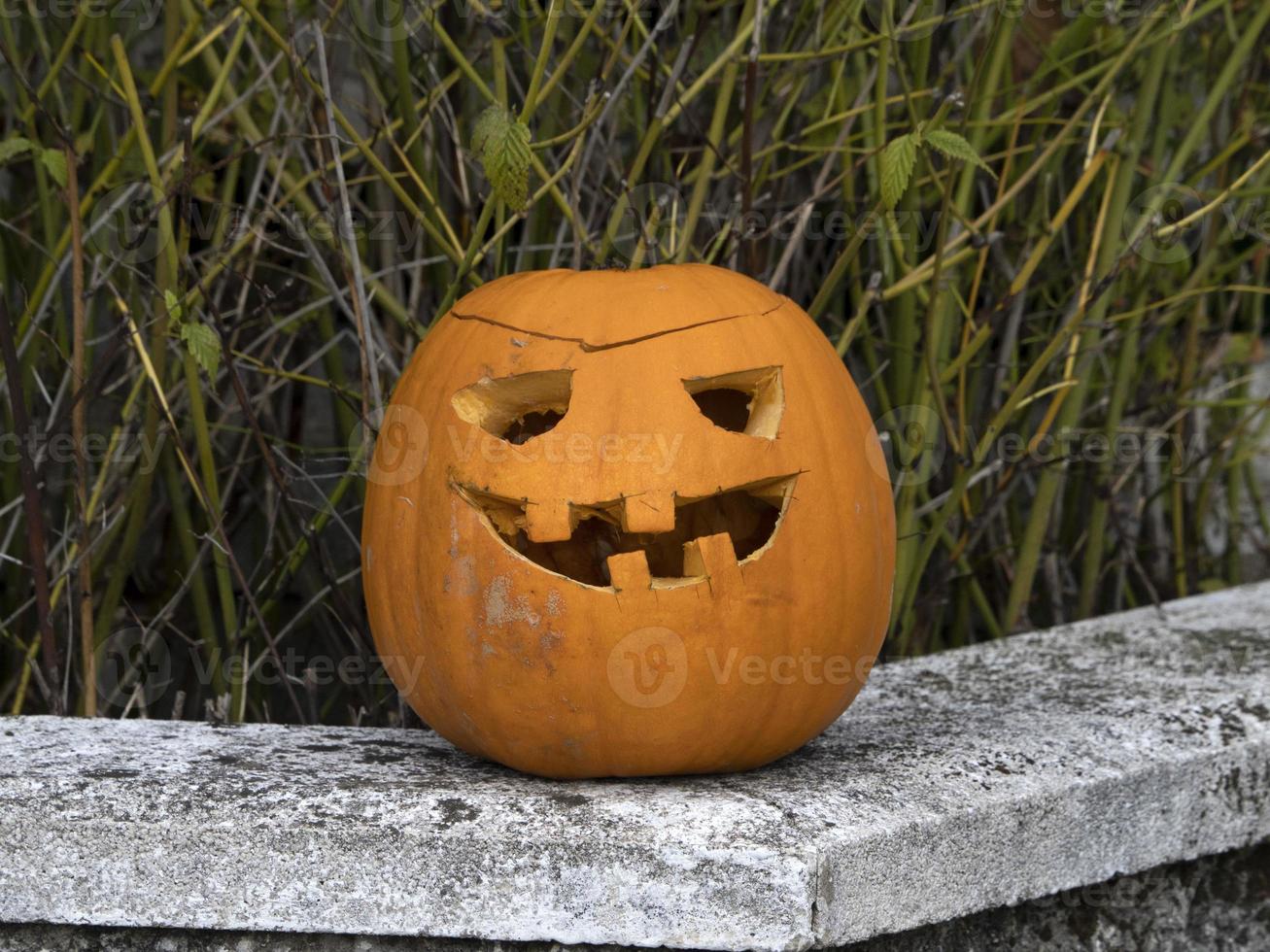 calabaza tallada natural de halloween foto