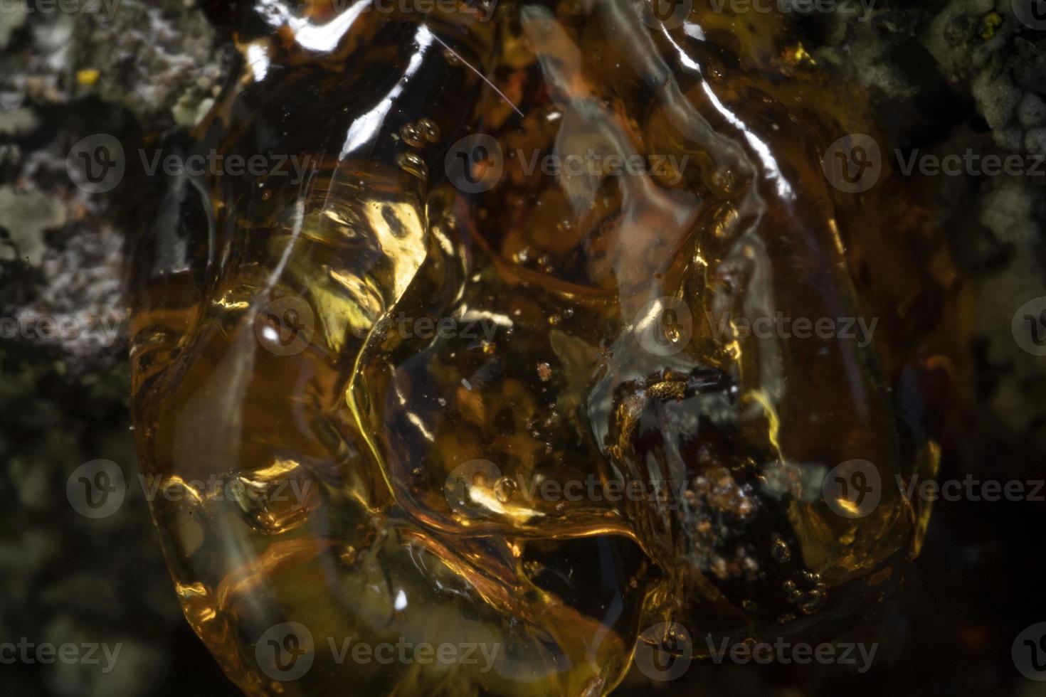 natural tree amber resin macro photo