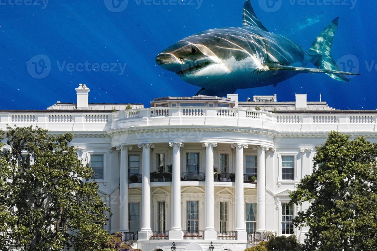 gran tiburón en la casa blanca hogar del presidente de estados unidos foto