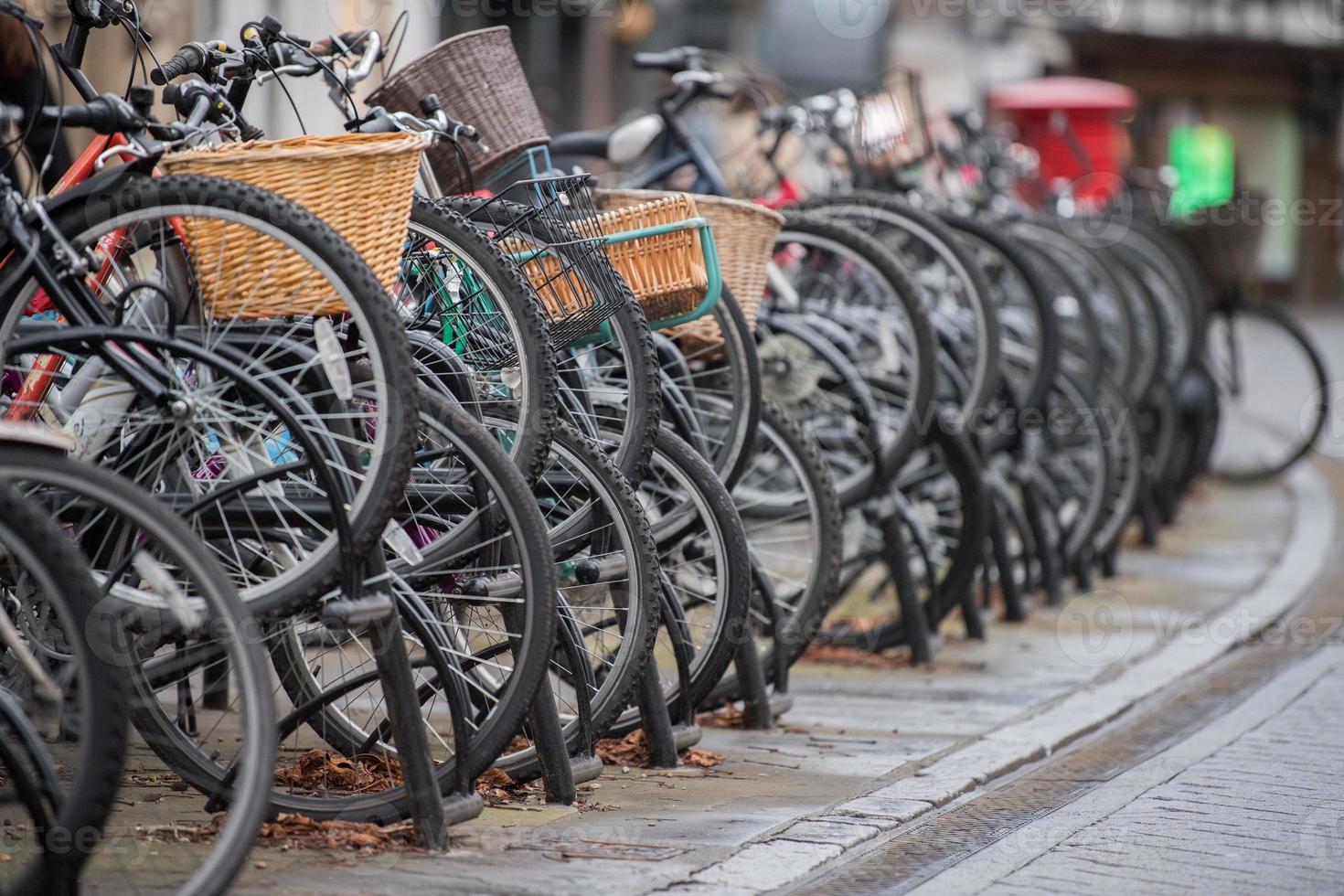 many bicycles in cambridge great britain photo