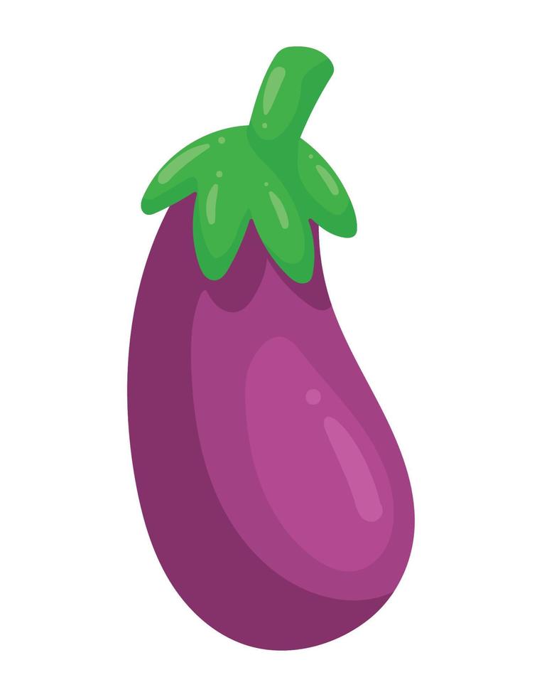 eggplant health food vector