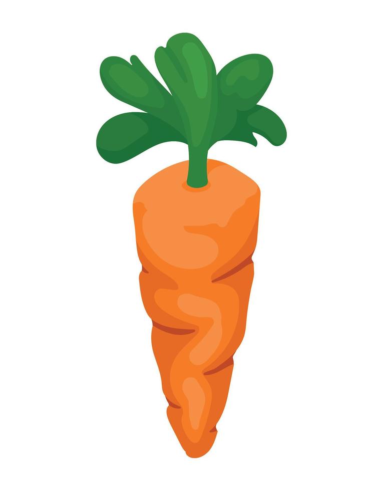 carrot health food vector