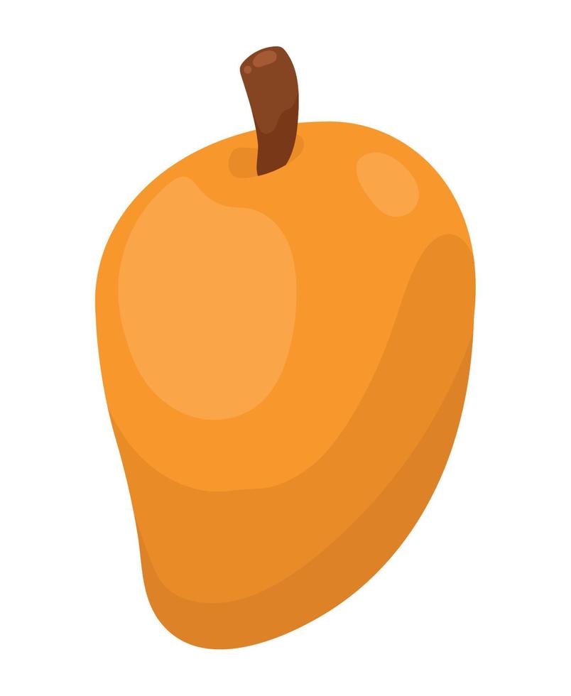 mango health food vector