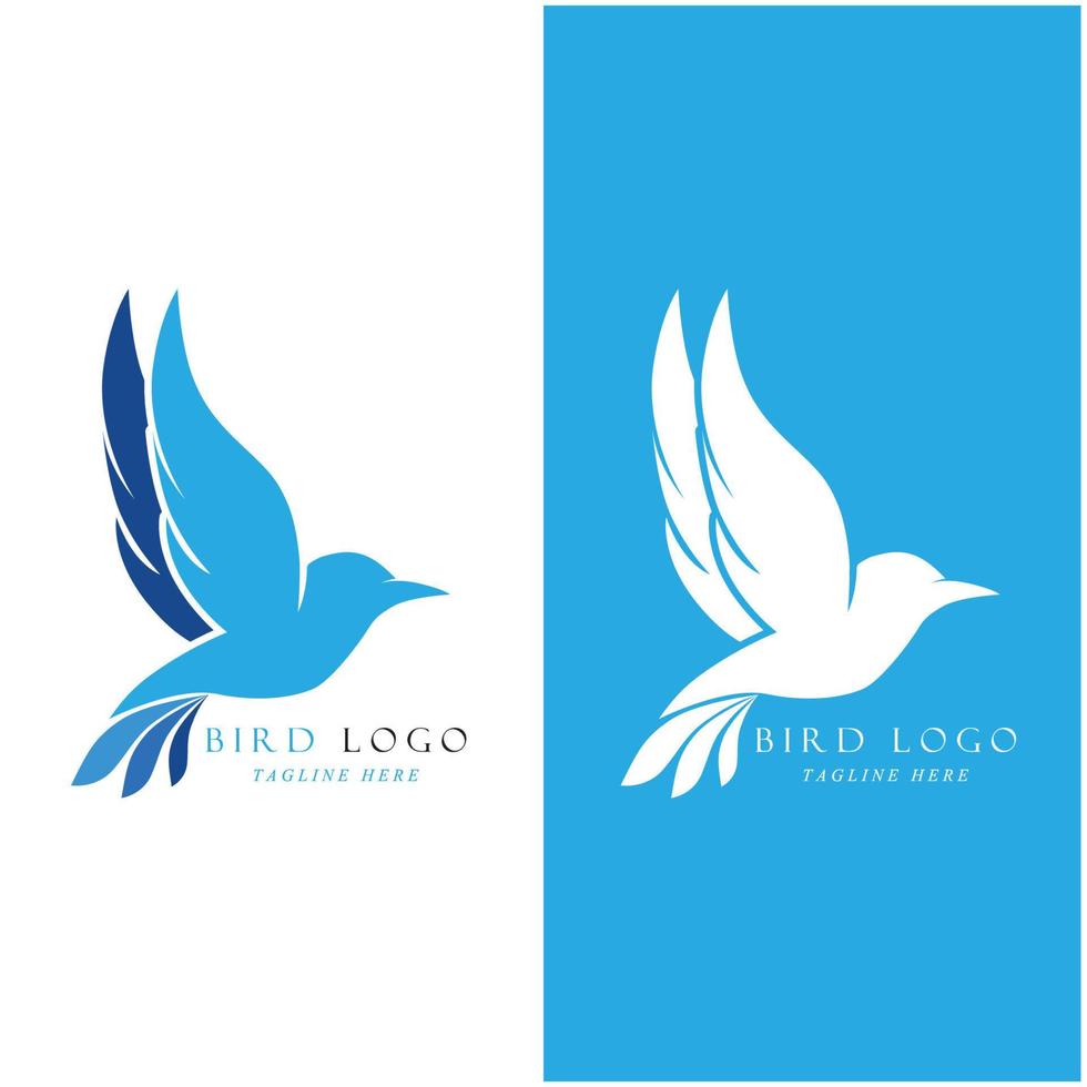 set of creative bird logo with slogan template vector