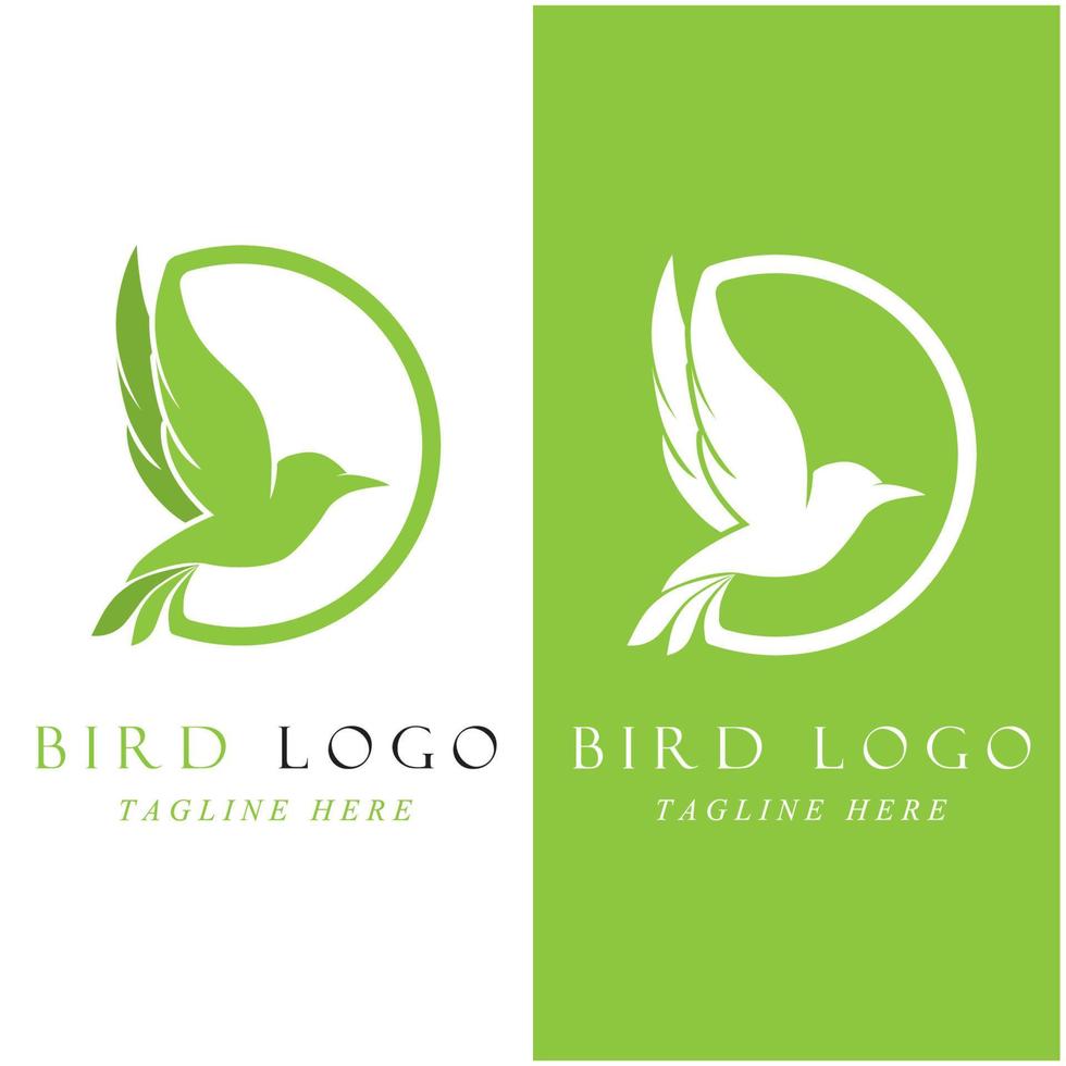 set of creative bird logo with slogan template vector