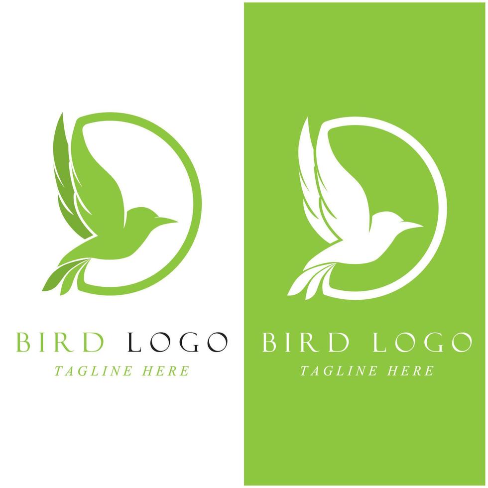 conjunto de logotipo de pájaro creativo con plantilla de eslogan vector