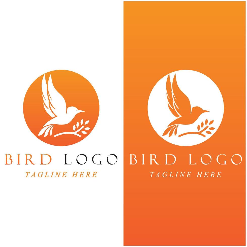 conjunto de logotipo de pájaro creativo con plantilla de eslogan vector