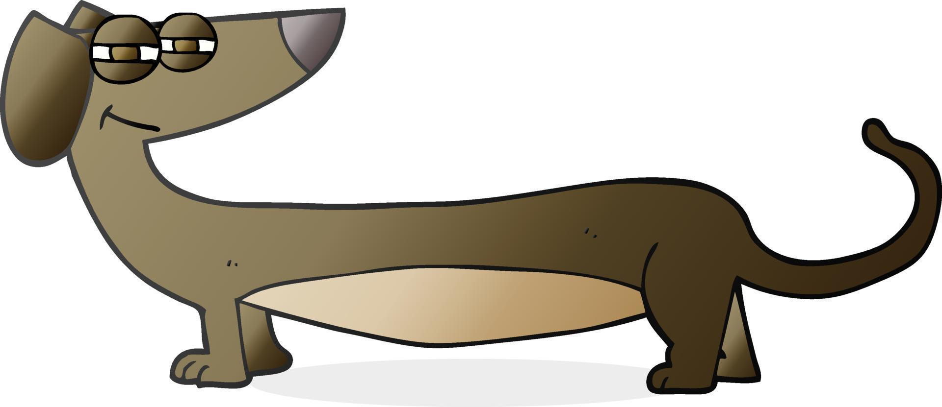 freehand drawn cartoon dachshund vector