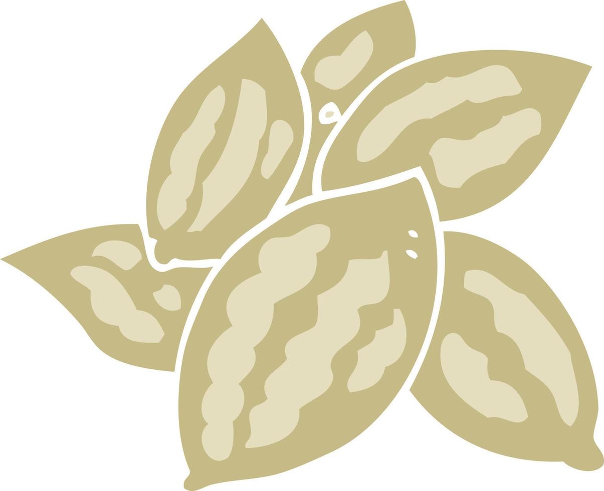 flat color illustration of almonds vector