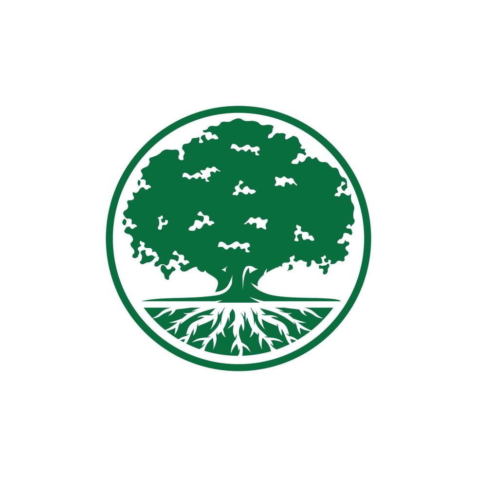 Oak tree logo design vector