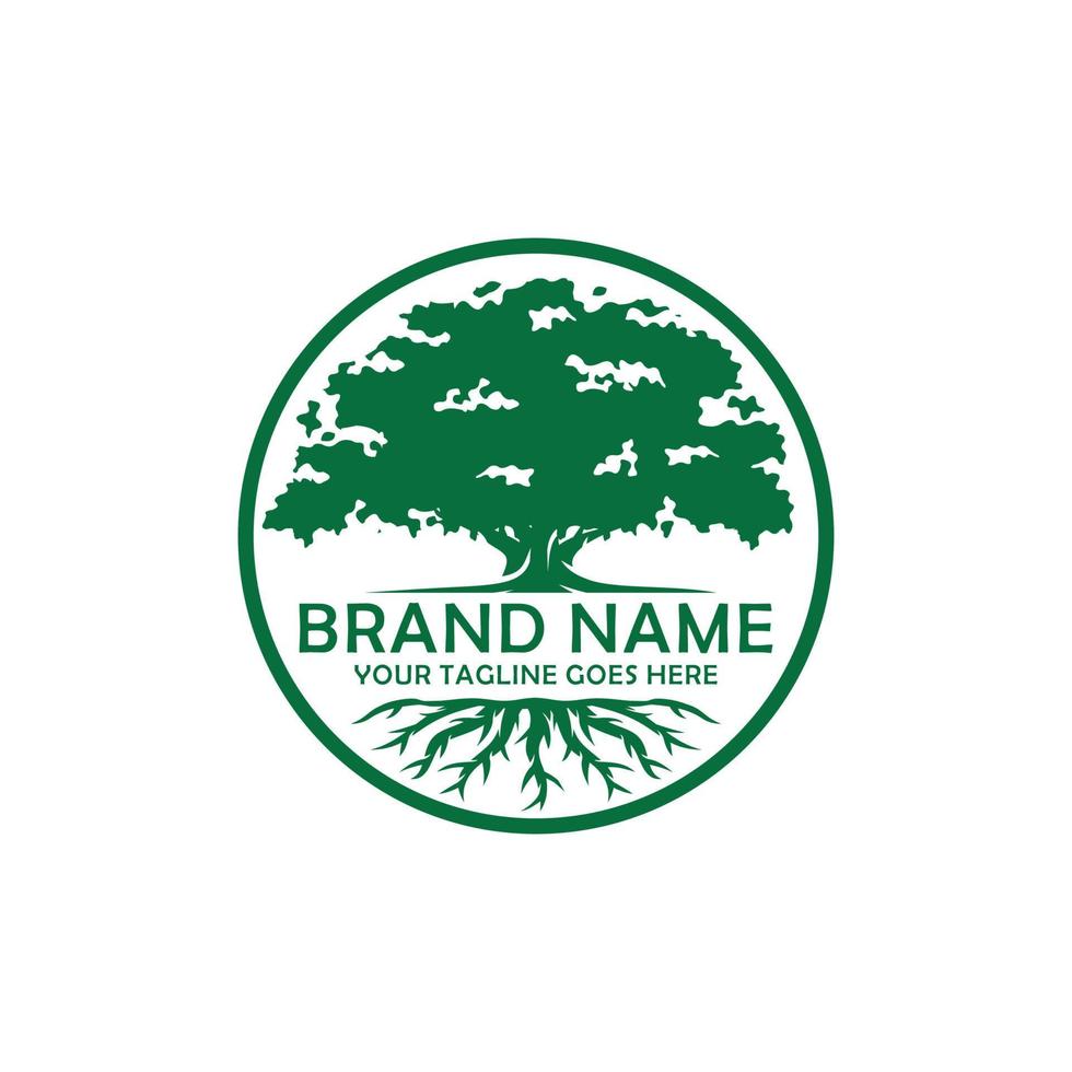 Oak tree logo design vector
