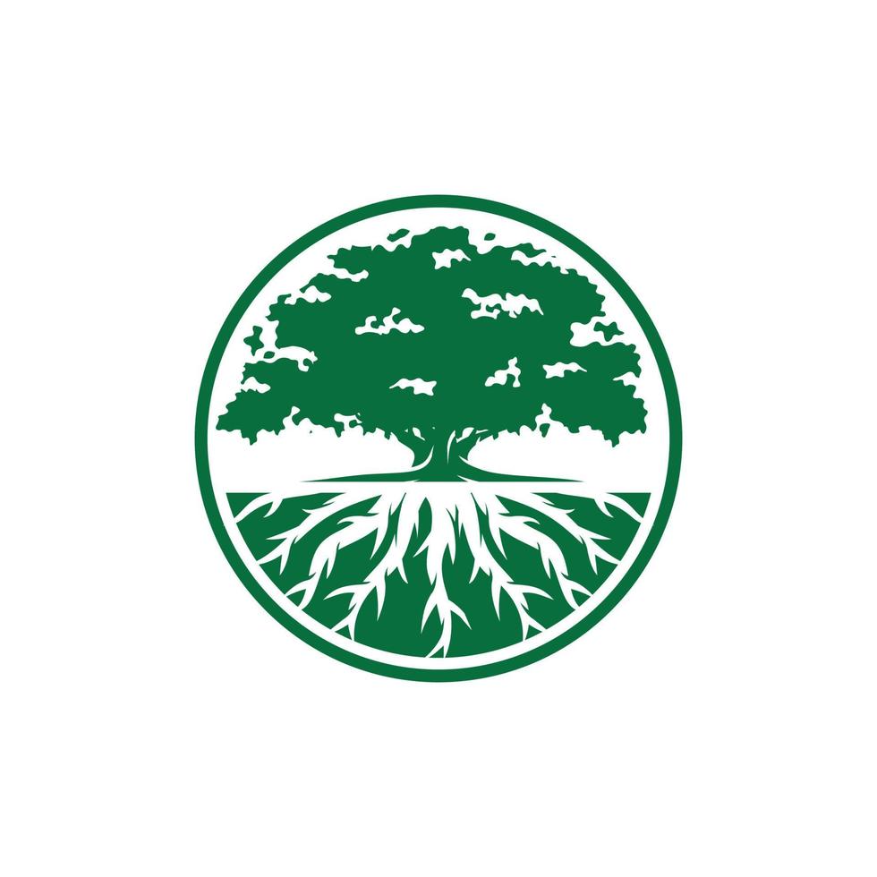 Oak tree logo design vector