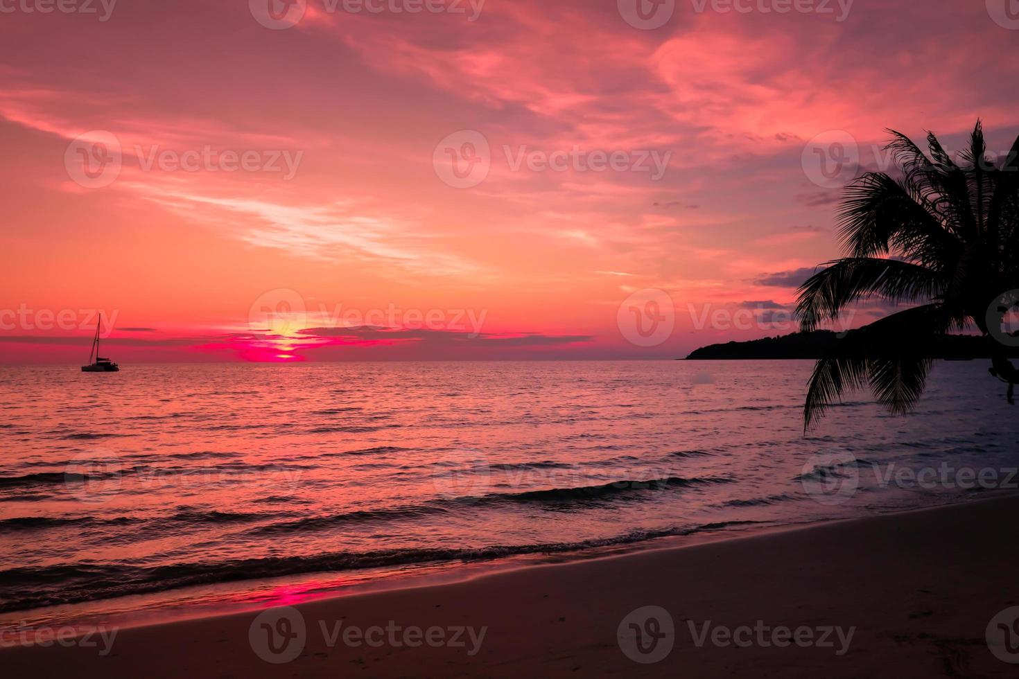 Beautiful sunset over the sea with a view at palms tree on tropical beach for travel and vacation photo