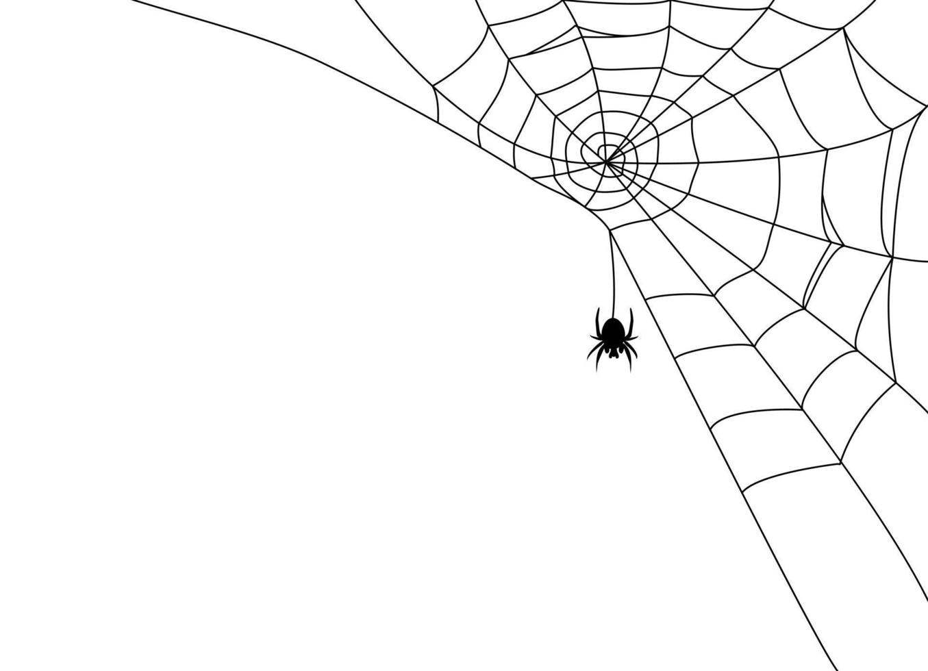 Black spider and web. Scary spiderweb of halloween . Vector illustration