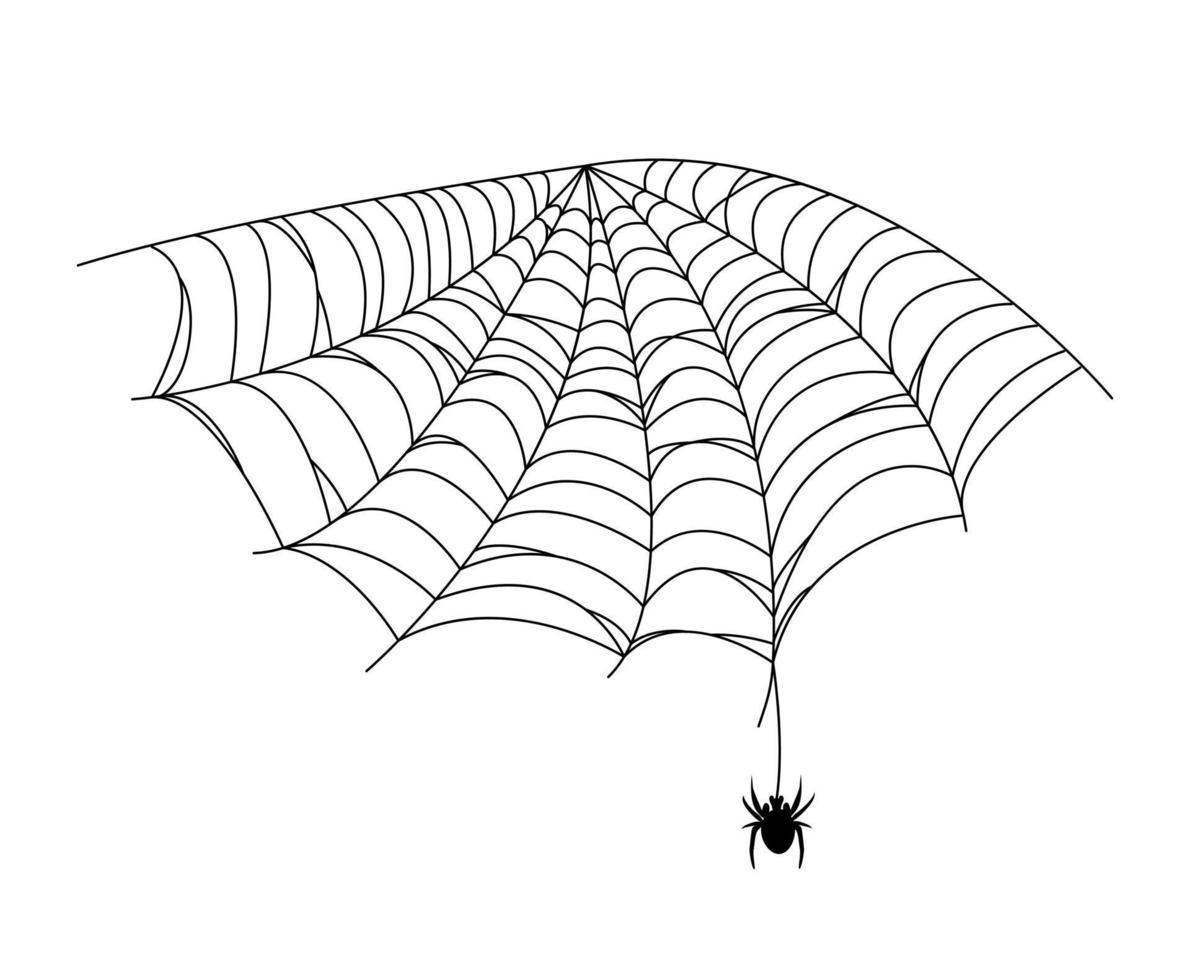Black spider and web. Scary spiderweb of halloween . Vector illustration