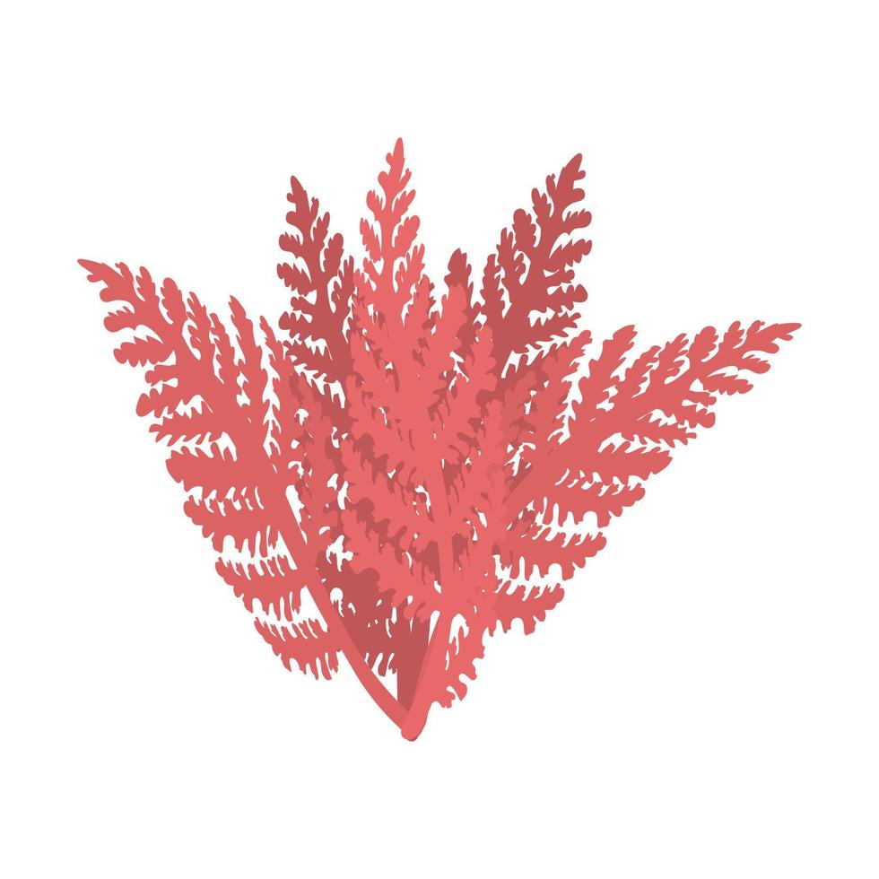 Seaweed. Isolated on white background.Collection of different aquatic plants Vector illustration