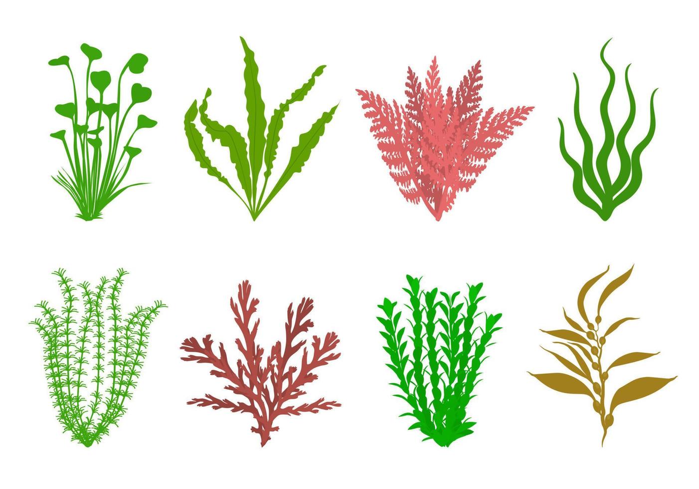 Cute aquarium plants set. Vector illustration
