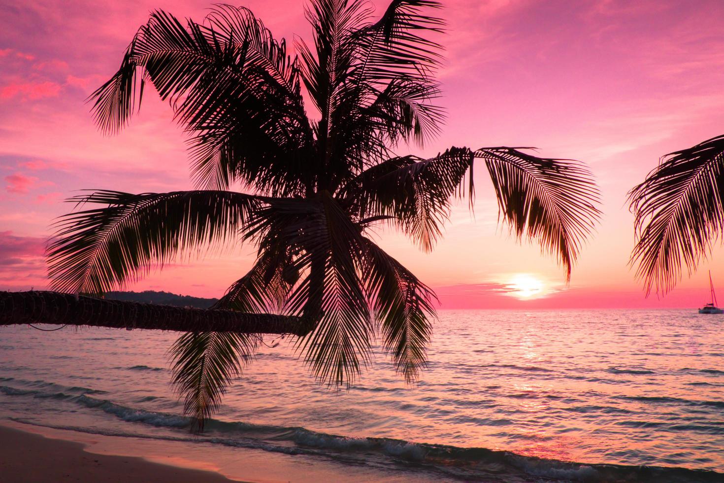 Beautiful sunset over the sea with a view at palms on tropical beach for travel and vacation photo