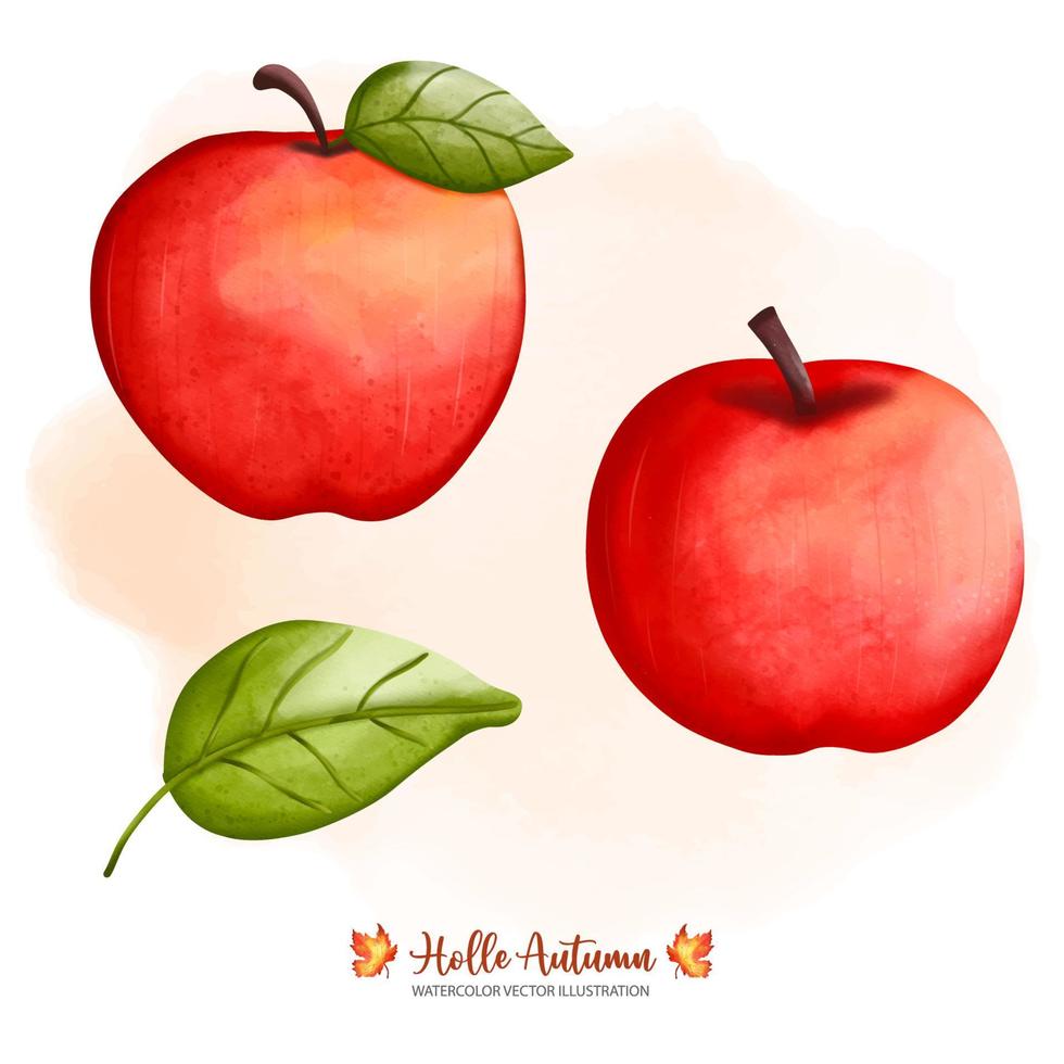 Red Apple watercolor, Autumn or Fall Animal decor, Digital paint watercolor illustration vector