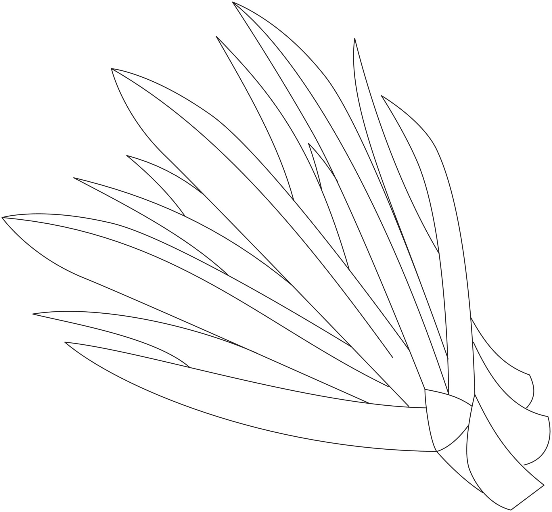 pandanus pandan hoja vector icono blanco y negro 12020424 Vector en