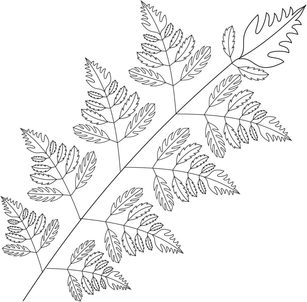 Rumohra adiantiformis leather leaf vector icon black and white