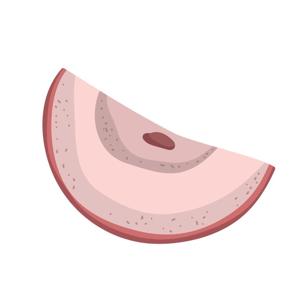 slice apple icon vector