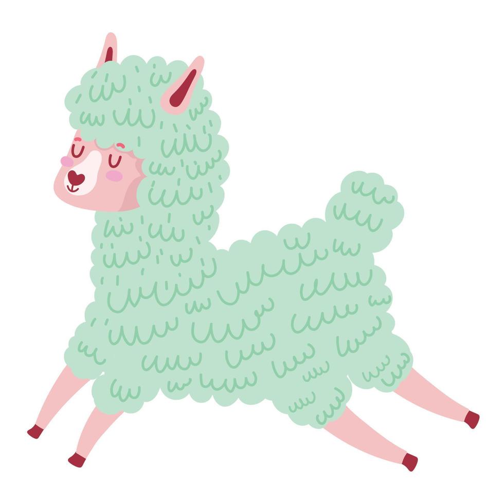 sweet cute llama vector