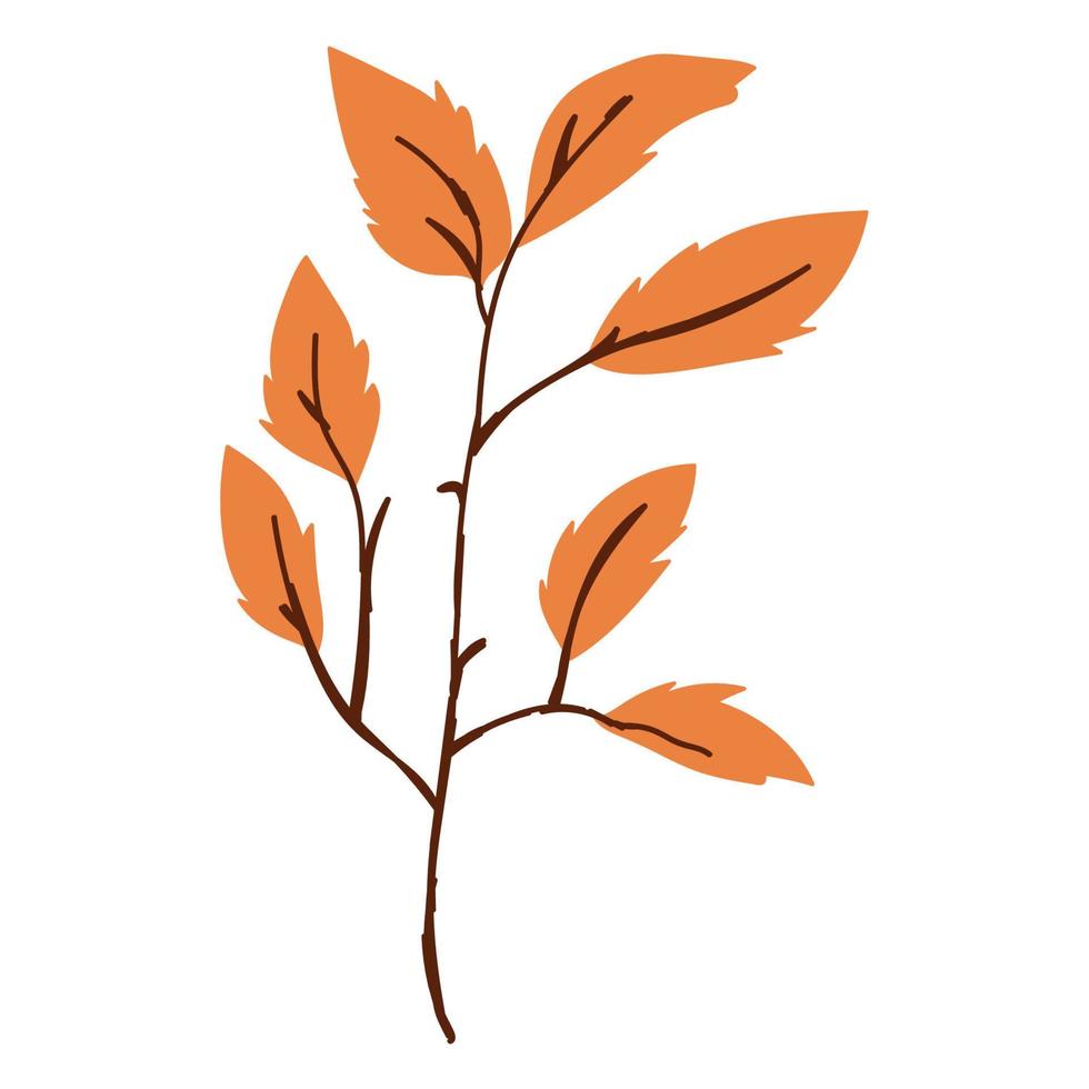 hojas de rama de otoño vector