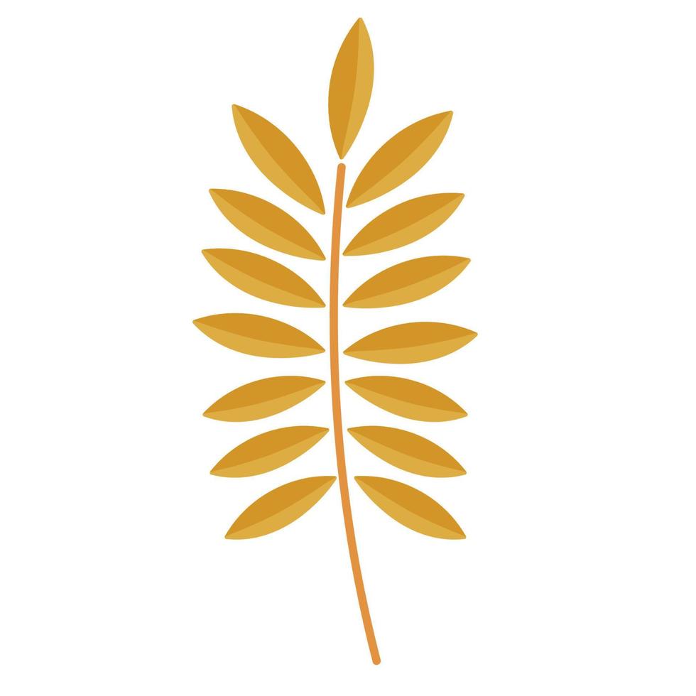 wheat spike branch vector