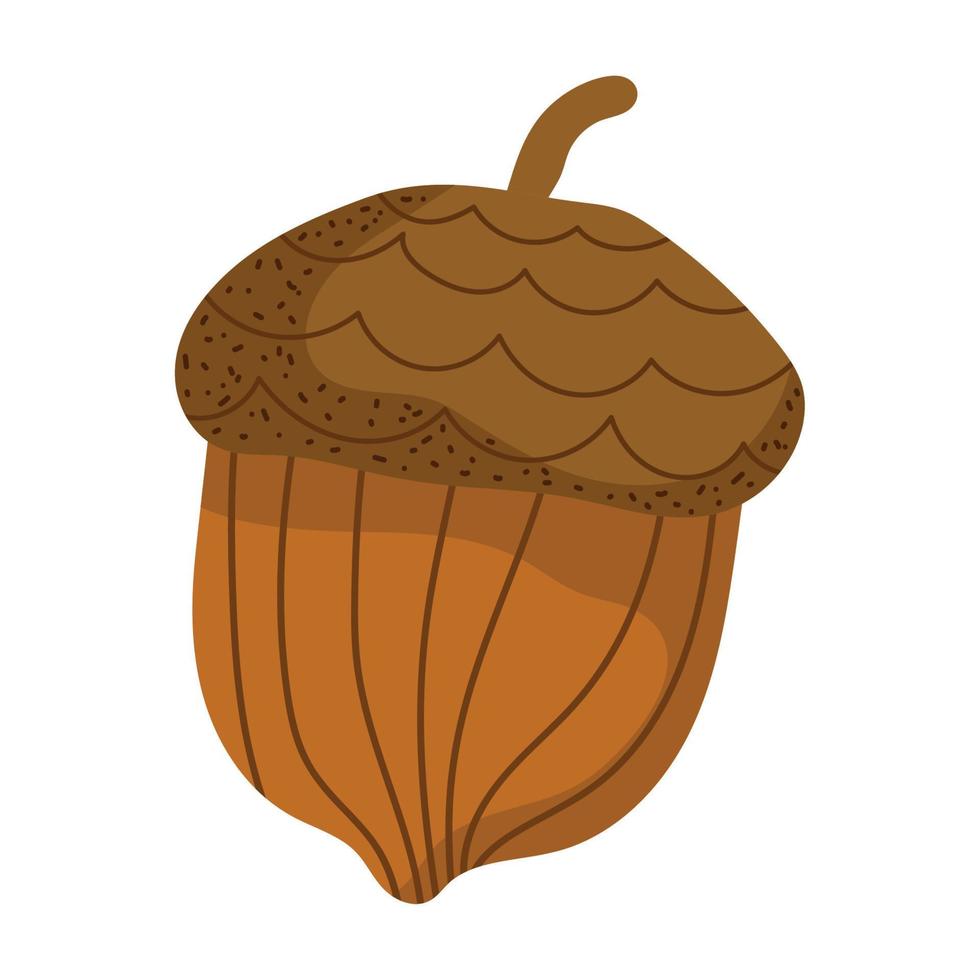 acorn nut icon vector