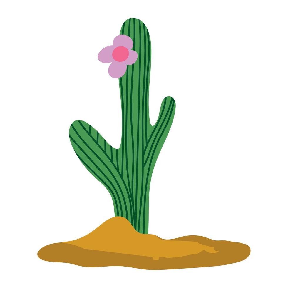 cactus plant and flower vector