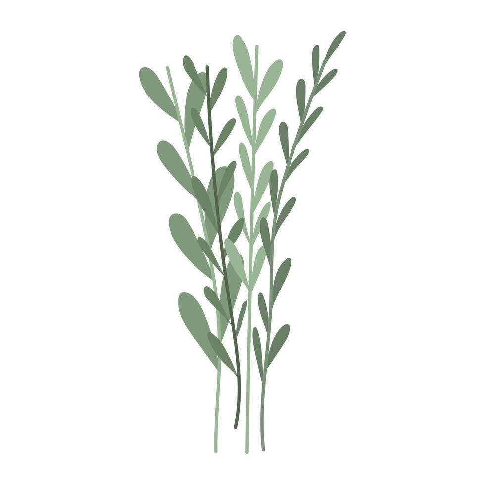 branches foliage icon vector