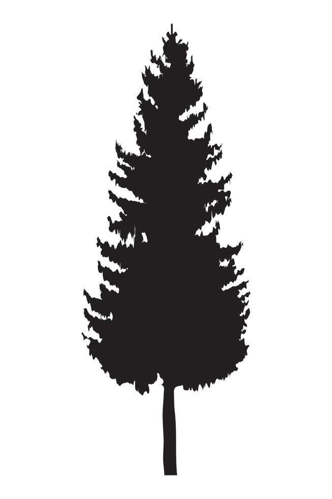 pine tree plant silhouette vector